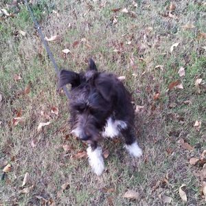 Meet your Posher, Jill